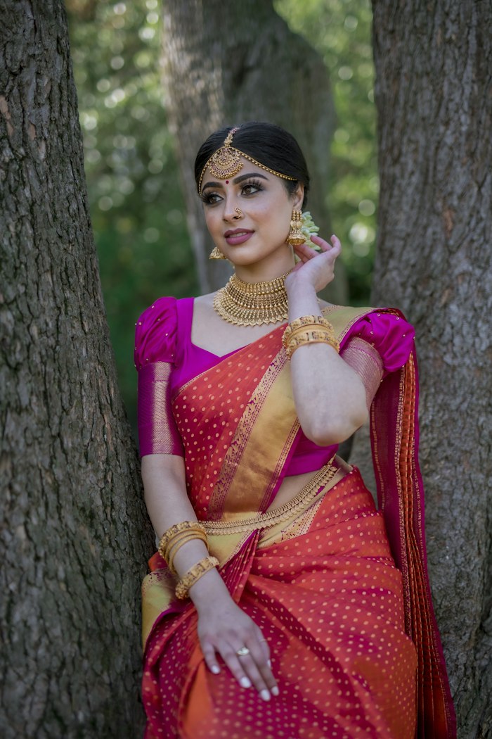 Powder Rose Floral Embroidered Sheer Organza Saree